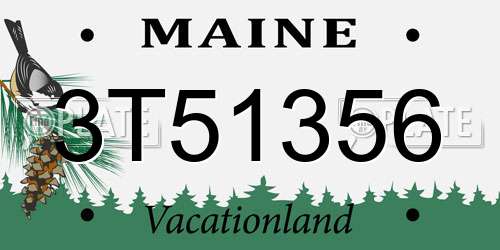 3T51356 Maine License Plate