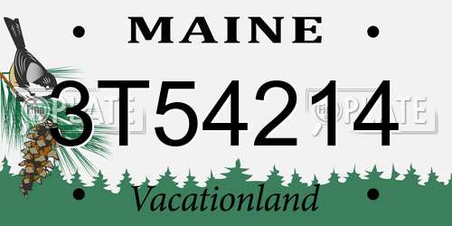 3T54214 Maine License Plate