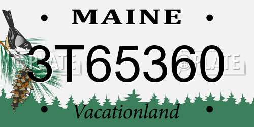 3T65360 Maine License Plate
