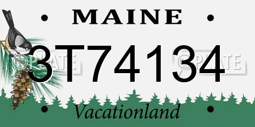 3T74134 Maine License Plate