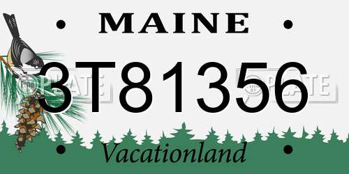 3T81356 Maine License Plate