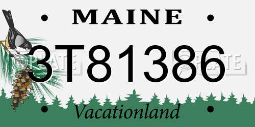 3T81386 Maine License Plate