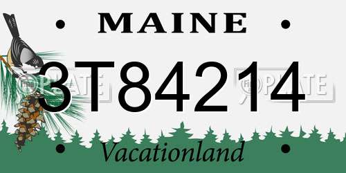 3T84214 Maine License Plate