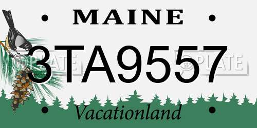 3TA9557 Maine License Plate