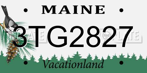 3TG2827 Maine License Plate
