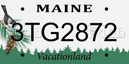 3TG2872 Maine License Plate
