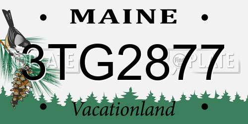 3TG2877 Maine License Plate