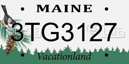3TG3127 Maine License Plate