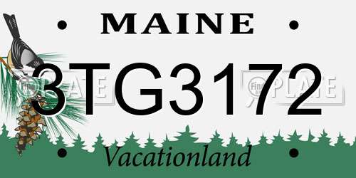 3TG3172 Maine License Plate