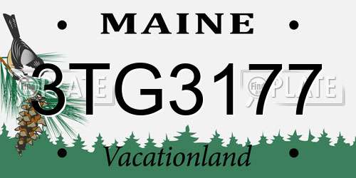 3TG3177 Maine License Plate