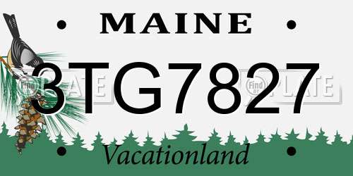 3TG7827 Maine License Plate