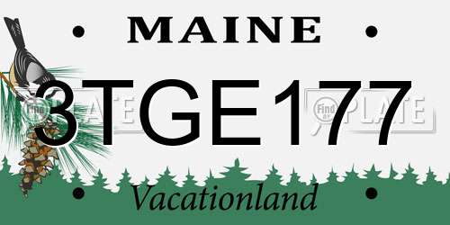 3TGE177 Maine License Plate