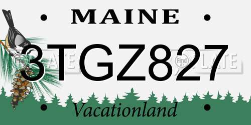 3TGZ827 Maine License Plate