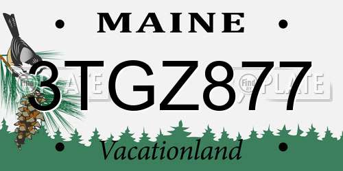 3TGZ877 Maine License Plate