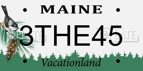3THE45 Maine License Plate