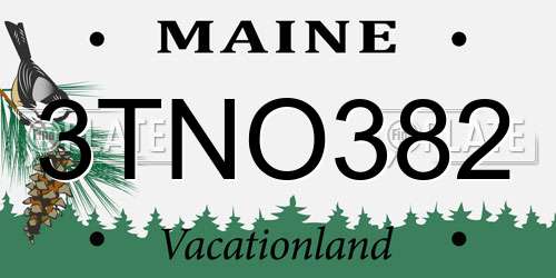 3TNO382 Maine License Plate