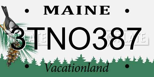3TNO387 Maine License Plate