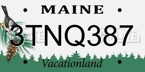 3TNQ387 Maine License Plate