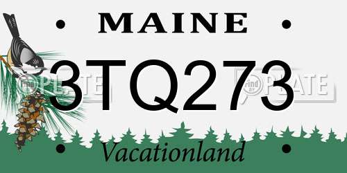 3TQ273 Maine License Plate