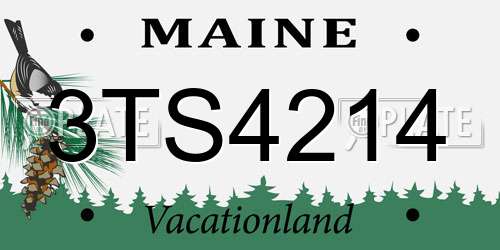 3TS4214 Maine License Plate