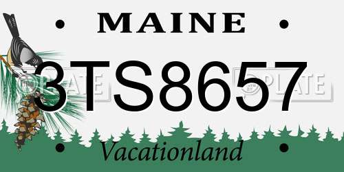 3TS8657 Maine License Plate