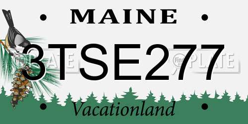 3TSE277 Maine License Plate
