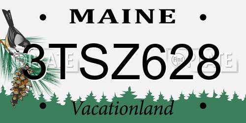 3TSZ628 Maine License Plate