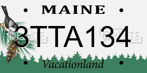3TTA134 Maine License Plate