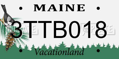 3TTB018 Maine License Plate