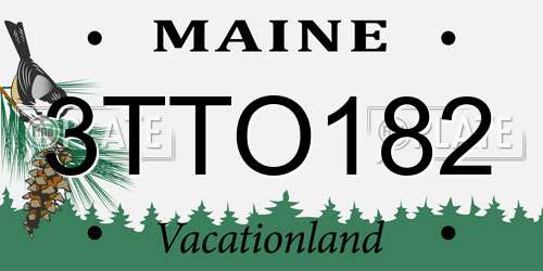 3TTO182 Maine License Plate
