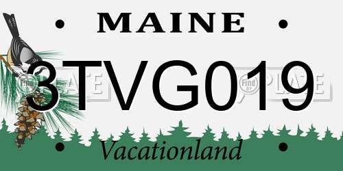 3TVG019 Maine License Plate