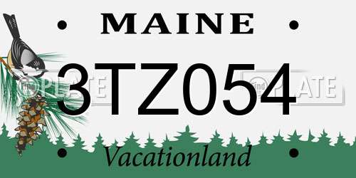 3TZ054 Maine License Plate