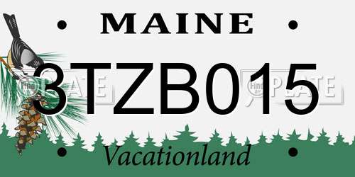 3TZB015 Maine License Plate