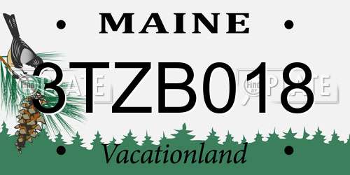 3TZB018 Maine License Plate