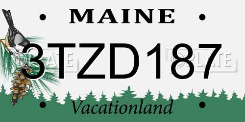 3TZD187 Maine License Plate