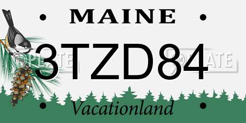 3TZD84 Maine License Plate