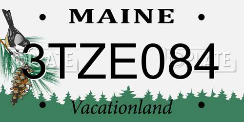 3TZE084 Maine License Plate