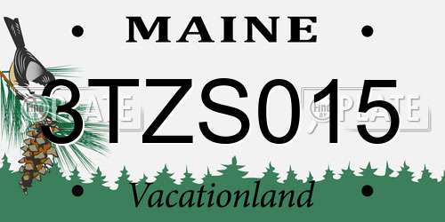 3TZS015 Maine License Plate