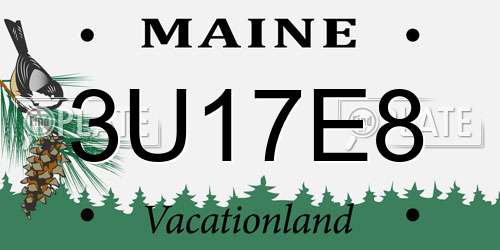 3U17E8 Maine License Plate