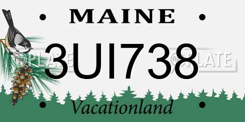 3UI738 Maine License Plate