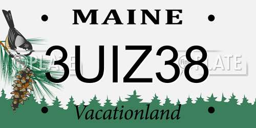 3UIZ38 Maine License Plate