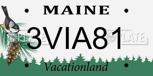 3VIA81 Maine License Plate