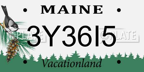 3Y36I5 Maine License Plate