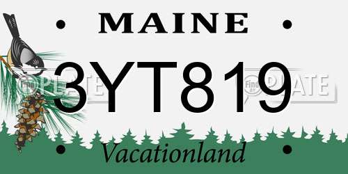 3YT819 Maine License Plate