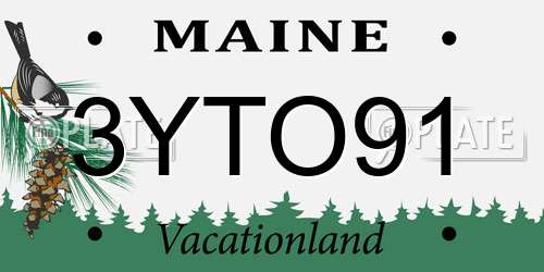 3YTO91 Maine License Plate