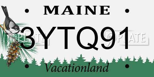 3YTQ91 Maine License Plate