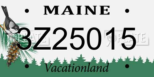 3Z25015 Maine License Plate