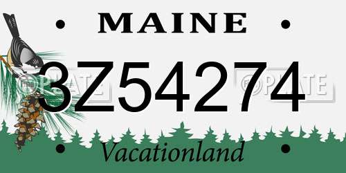 3Z54274 Maine License Plate