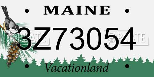 3Z73054 Maine License Plate