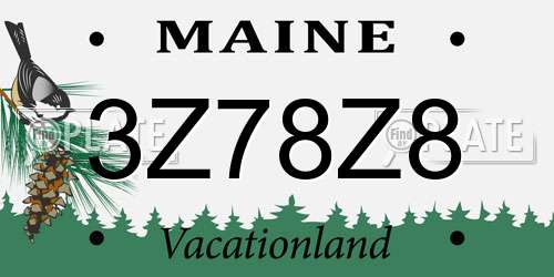 3Z78Z8 Maine License Plate